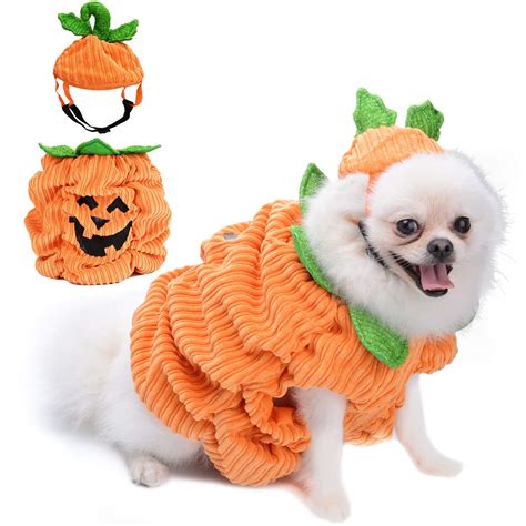 dog pumpkin hat|pumpkin costume for small dog.